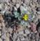 imgp2064_small.jpg