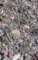 imgp2065_small.jpg