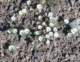 imgp2066_small.jpg