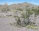 imgp2067_small.jpg