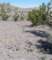 imgp2070_small.jpg