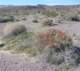 imgp2071_small.jpg