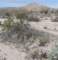 imgp2072_small.jpg