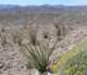 imgp2073_small.jpg