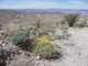 imgp2074_small.jpg