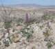 imgp2076_small.jpg