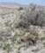 imgp2077_small.jpg