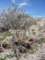 imgp2079_small.jpg