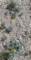 imgp2080_small.jpg