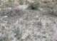 imgp2081_small.jpg