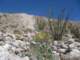imgp2084_small.jpg