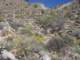imgp2085_small.jpg