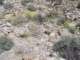 imgp2086_small.jpg