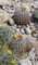 imgp2087_small.jpg