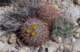 imgp2088_small.jpg