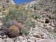 imgp2089_small.jpg
