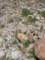 imgp2090_small.jpg