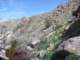 imgp2095_small.jpg