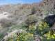 imgp2096_small.jpg