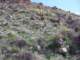 imgp2101_small.jpg