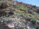imgp2102_small.jpg
