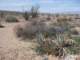 imgp2106_small.jpg