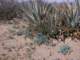 imgp2108_small.jpg