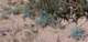 imgp2108b_small.jpg