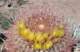 imgp2111_small.jpg