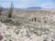 imgp2115_small.jpg