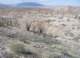 imgp2118_small.jpg