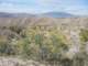 imgp2119_small.jpg