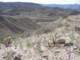 imgp2121_small.jpg