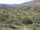 imgp2125_small.jpg