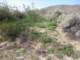 imgp2126_small.jpg