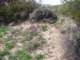 imgp2127_small.jpg