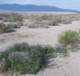 imgp2134_small.jpg