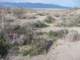 imgp2135_small.jpg