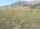 imgp2136_small.jpg