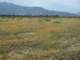 imgp2138_small.jpg