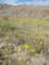 imgp2140_small.jpg