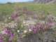 imgp2142_small.jpg