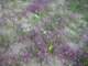 imgp2143_small.jpg