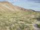 imgp2145_small.jpg