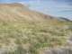 imgp2146_small.jpg