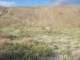 imgp2147_small.jpg
