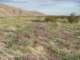 imgp2148_small.jpg