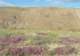 imgp2149_small.jpg