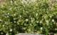 imgp2303_small.jpg