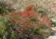 imgp2316_small.jpg